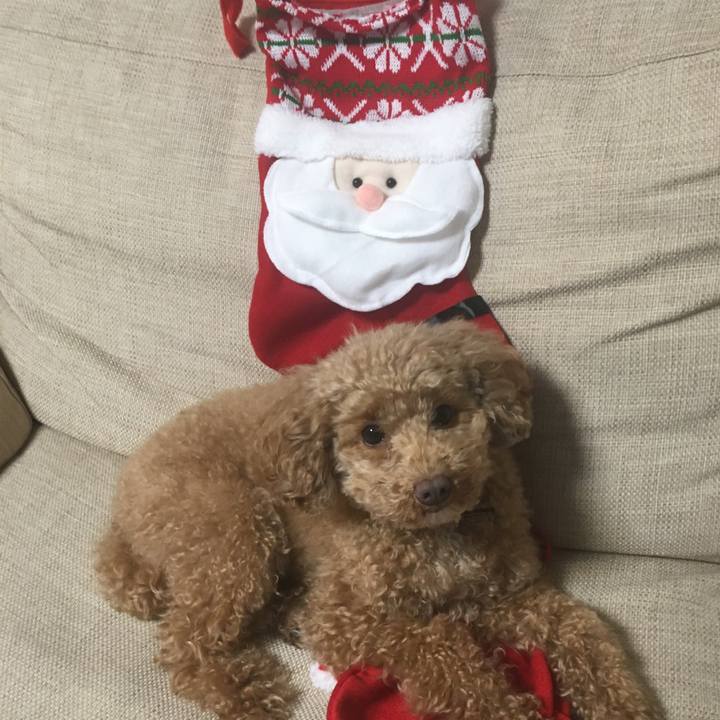 692b0184 1799 4ed0 b47d 07dc4d6bdd12 1514121235132