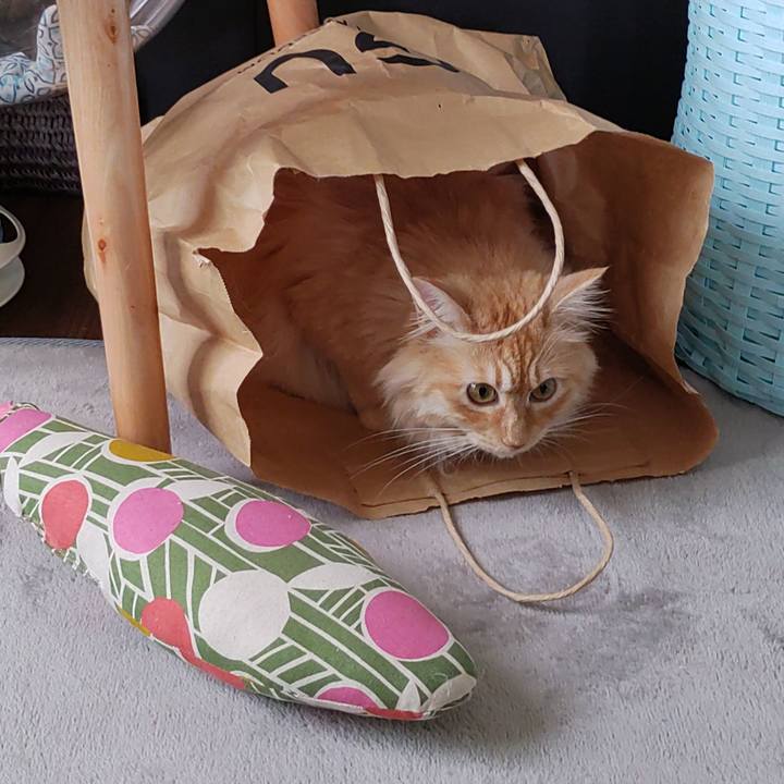 692b16ee 24ec 40d3 83dd 739afff055ae 1655080310793