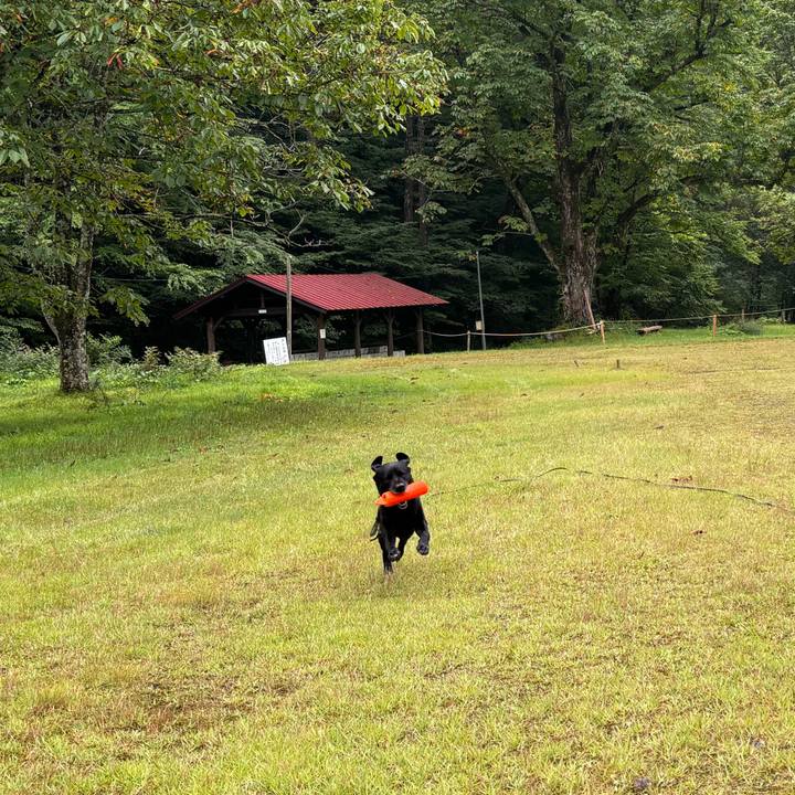 692b18ab 8d42 4a2d 985f d3796f2bb50a 1757837087537