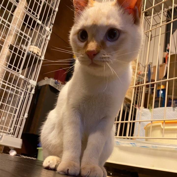 692b265f ed1f 413b 9f1c 2d94aa2531c1 1579668731516