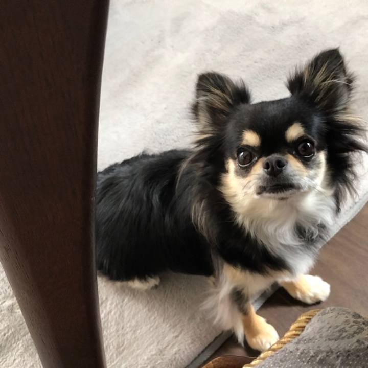 692b3bd6 6266 40bc 95f1 931cf8f0d63a 1593391376718