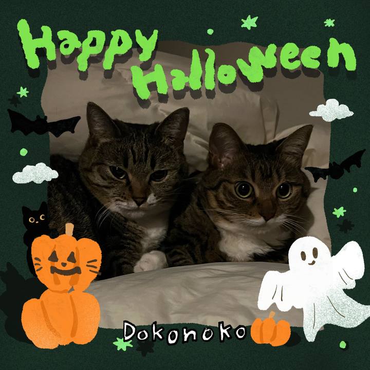 692b5722 b36a 4028 92bd 8c0942cedf60 1729521654616