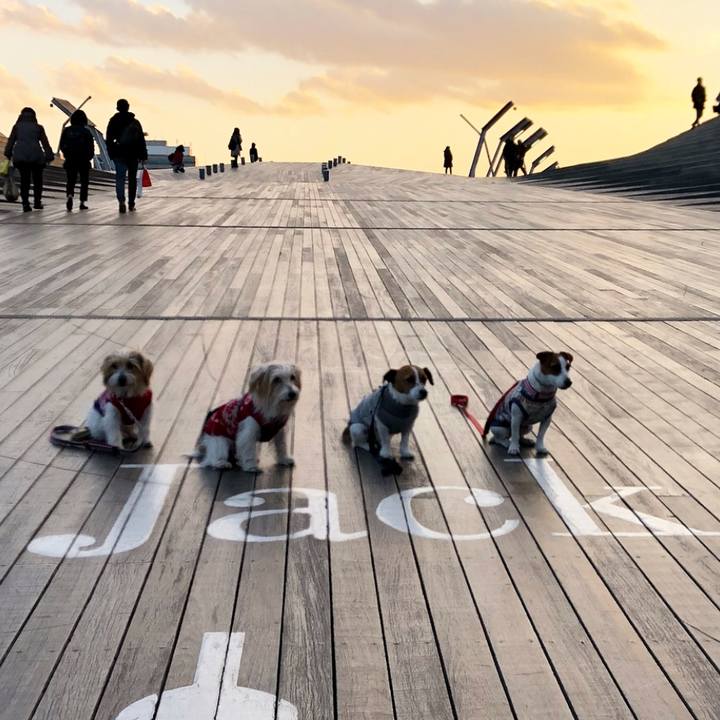 692b87e0 a49f 46ba 86cf dd4d5e4e3ac4 1518361328775