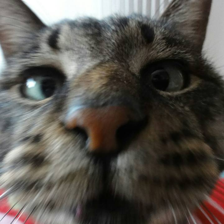 692bc60d 25f2 478a 8043 90c9b0afa211 1513906285363