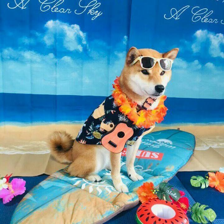 692bd766 a28d 4aff bb62 47dc4c69eb35 1565487577304