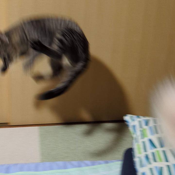 692be8fd 1b58 4bf6 81a0 6f1f486b58f1 1714274615106