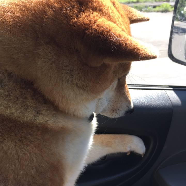 692bf5f5 0f92 457a b11c 5df2b1dc026b 1531567189059