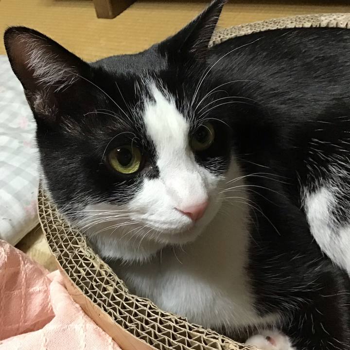 692c0ebd 52cd 4d1d 8732 d21a50a3173a 1700734133150