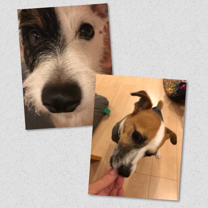 692c2278 4c80 4a1a 91af 9a1fe8a3534d 1535890817640