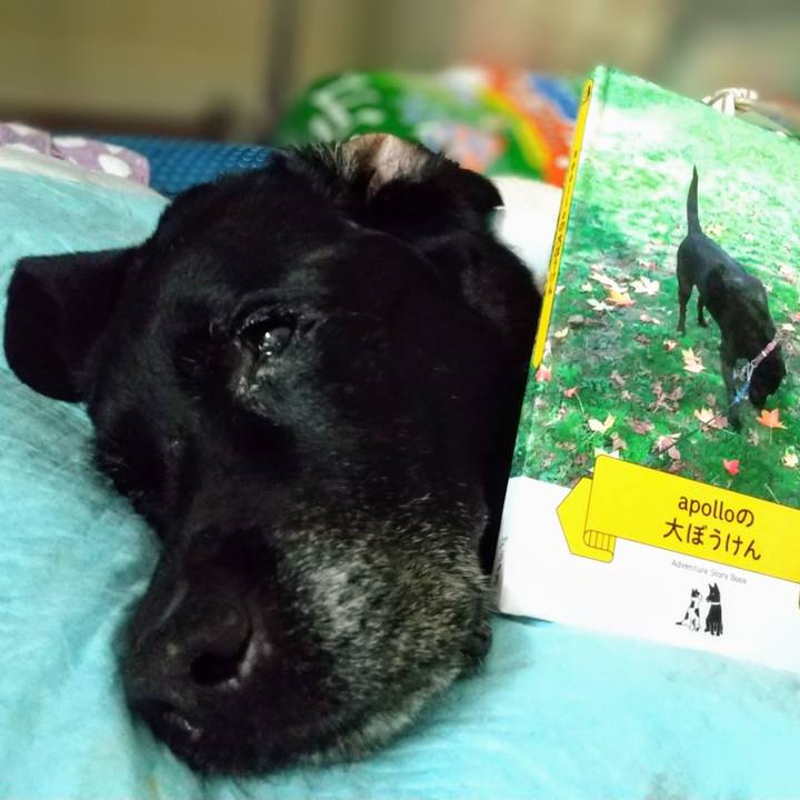 692c2fac d42f 4a2f 89e4 ccf1943f9dcd 1720921175741