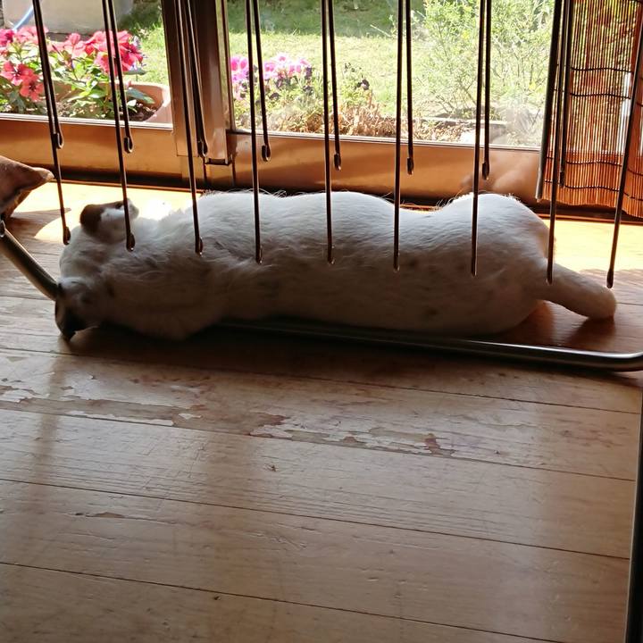 692c3568 681e 417a 9fa5 41d9dc2a2d46 1531266343414