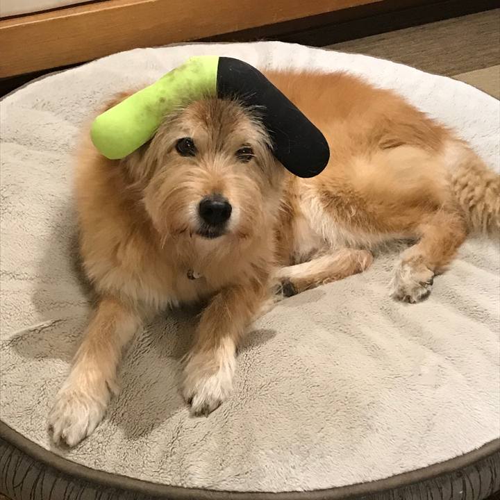 692c745a 6d9e 4544 827e 688b5e33794c 1611527824152