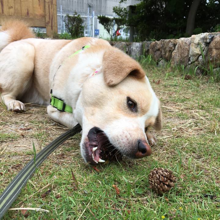 692d091d 980b 4b9b 87b3 1895bb7d927b 1527218769842