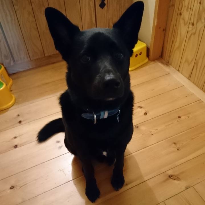 692d3526 e26b 48a0 a085 3d926bbf0d4e 1525733060083