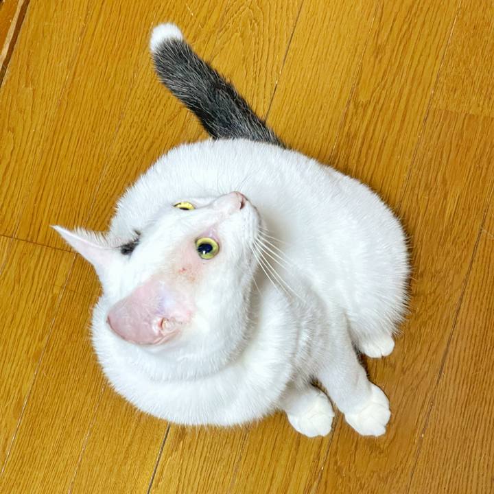 692d38c1 ada0 46dd 9a14 1d19925372bb 1754797966802