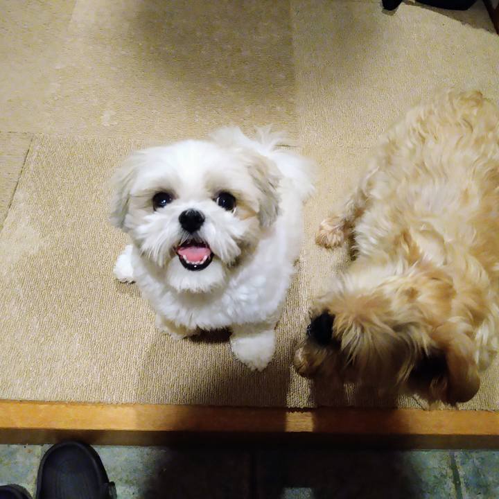 692d6f75 a918 42af aff8 9c31e4836eef 1660794723541