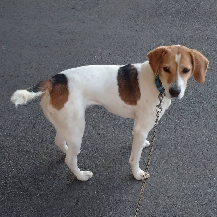 692d7a18 0b12 4826 8abc 9cc2f1f8181c 1615712280476