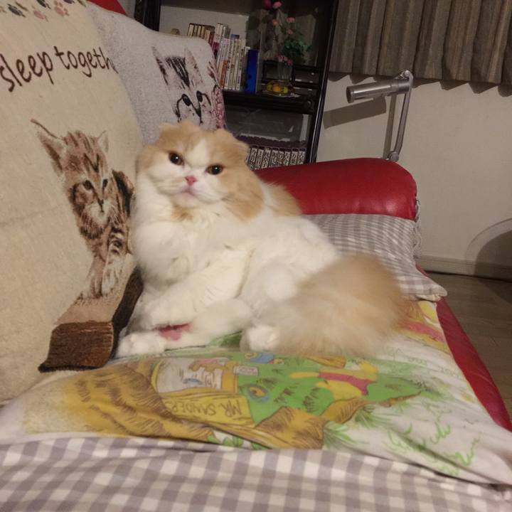 692d8026 40d1 4328 9c12 df681eaba4ef 1519389352381