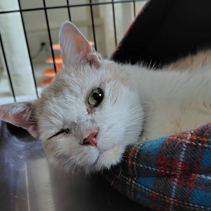 692d8d3e cb5c 465e abd1 e83f8be883be 1756509139746