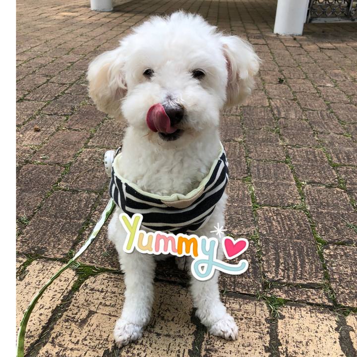 692dabe7 8ef4 4298 9ae6 db6625165447 1539141640149