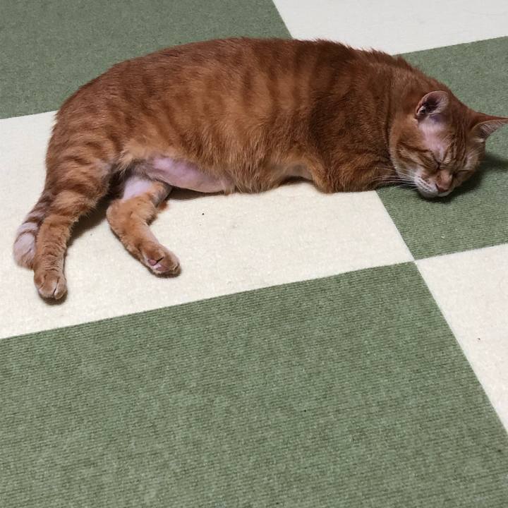 692de526 790f 4e59 aec0 7b9fb454e444 1632743877774