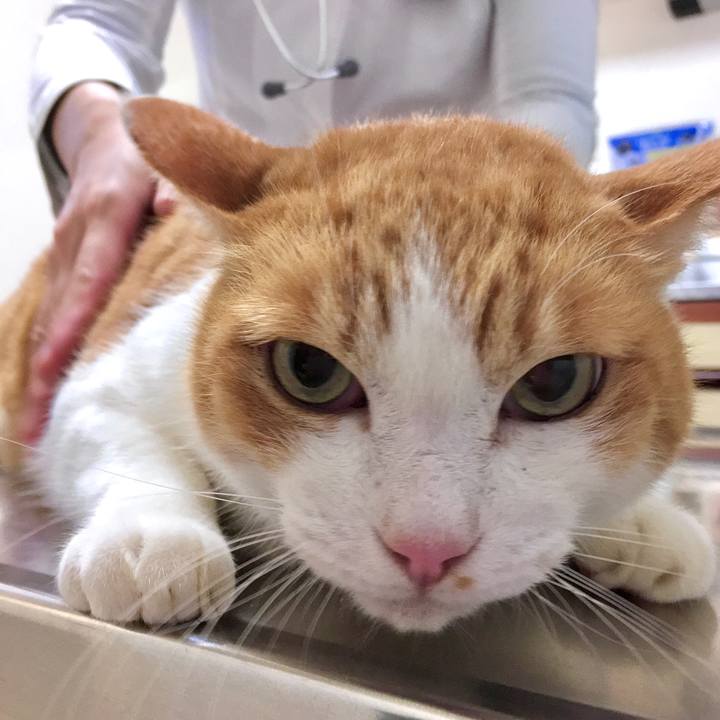 692e28d0 77ac 4412 b10c 213f6978518e 1573720173176