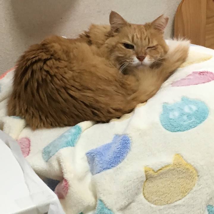 692e3f19 5837 4758 8108 f8dadb75a71d 1514368498891