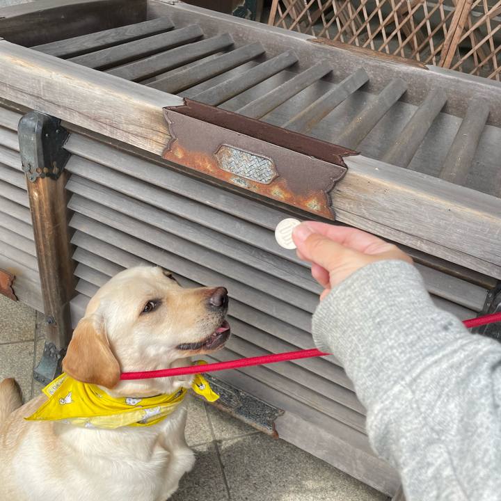 692e5d75 8b1b 421b 84e8 5259325e5949 1648630515232