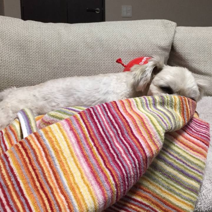 692e636b 78ad 4ccf 9d89 e67b10e8d9ad 1517579252941