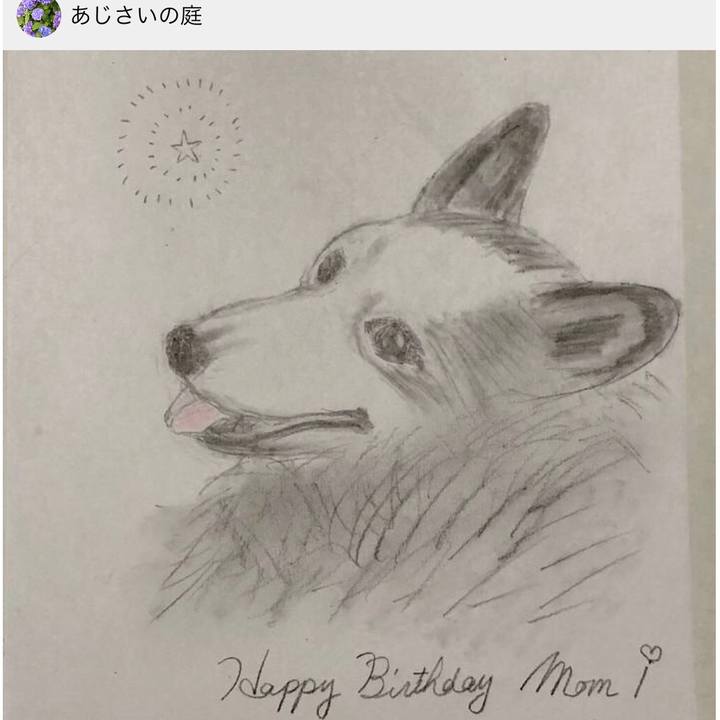 692e6acb bc95 4edb 8330 38140e64bd7e 1613188640793