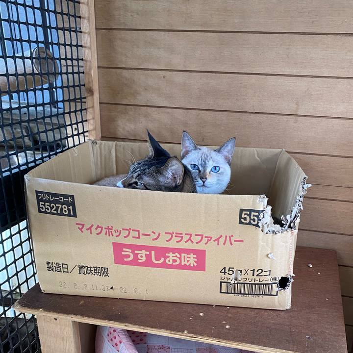 692e6fd2 840a 4cf5 a57b 7d0433fee8ef 1666052279741