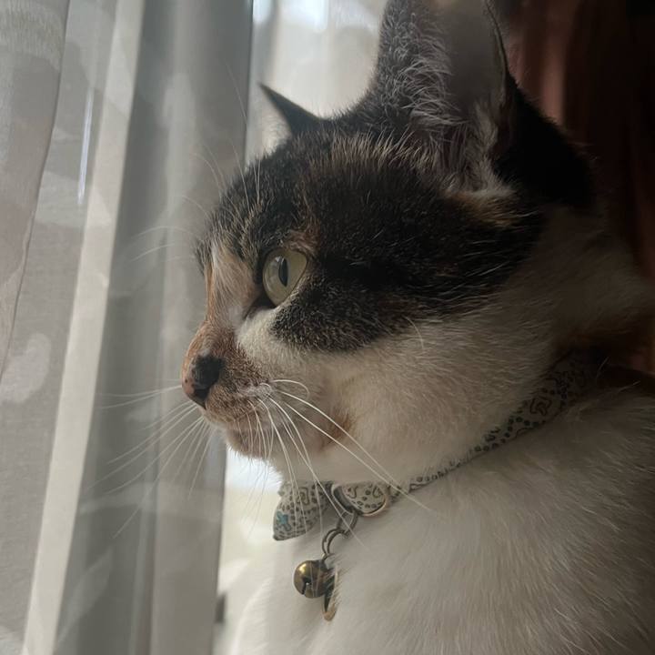 692e8f7c 43eb 4f88 ab62 e1543aebbcb7 1772069588592