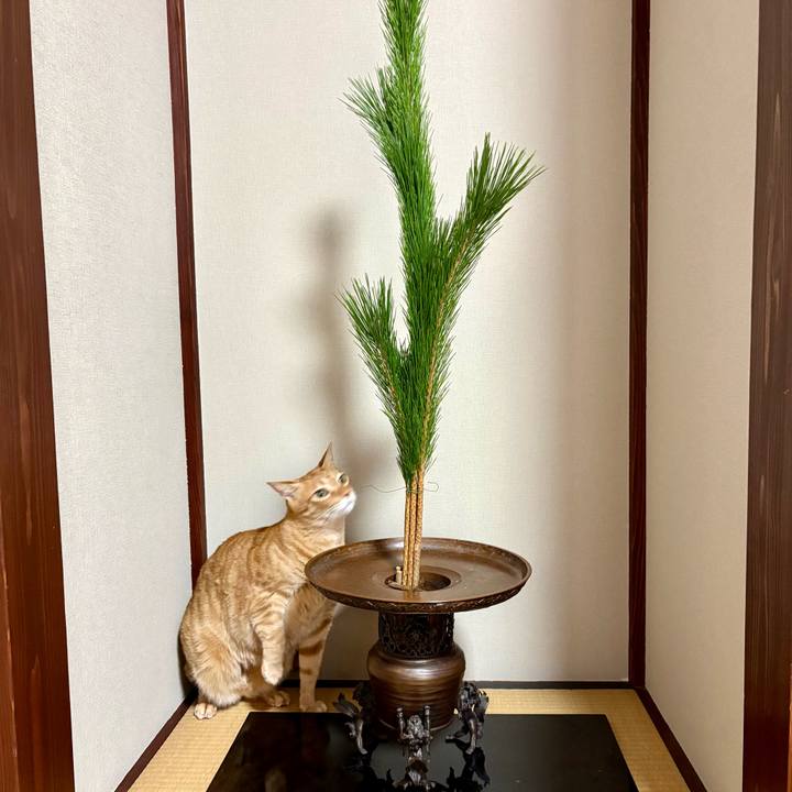 692e9028 77a2 4c52 aa94 355f432b1711 1766263205163