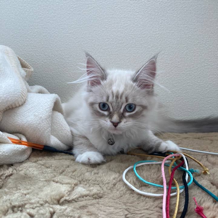 692e9730 539a 4a8c b103 4d4bc1e47de8 1668302133488