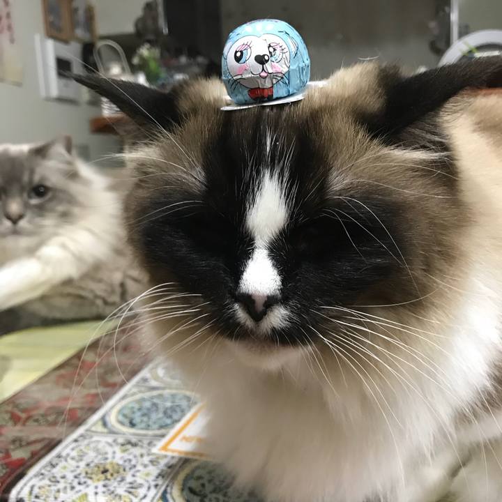 692eb38e 34d5 4a4b 9825 6ce3b800f037 1520425828874