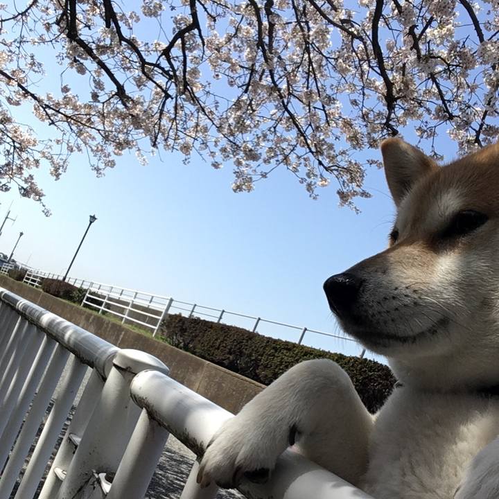 692efd84 75e7 4f33 8657 e5808bed2e80 1585195113285