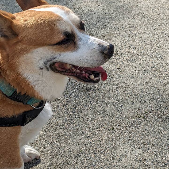 692f37a6 8c11 475c ae64 a6e94a901593 1704094942915