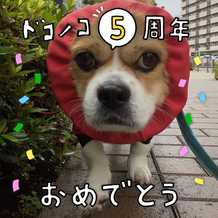 692f53ee d169 4d08 a81f 52aedcd46f5d 1622865566753