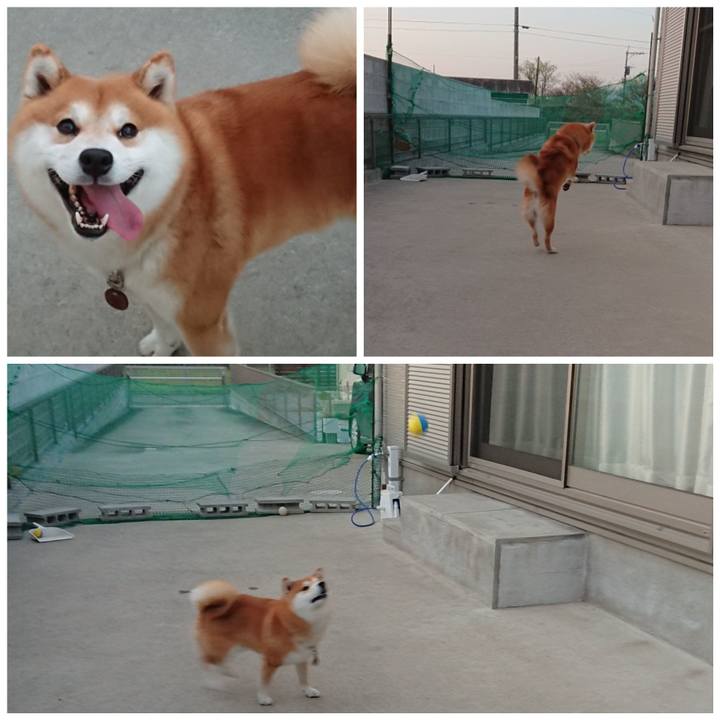 692f57e4 85e4 4dc6 a6f6 6d3715381b8a 1523623823889