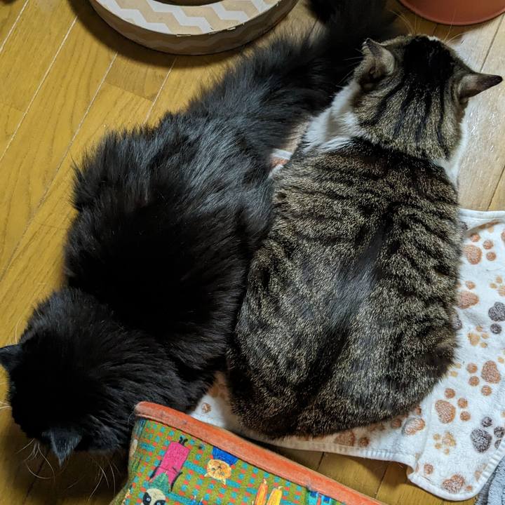 692f94c5 0c8e 413c 90c7 395653f088b7 1709422344763