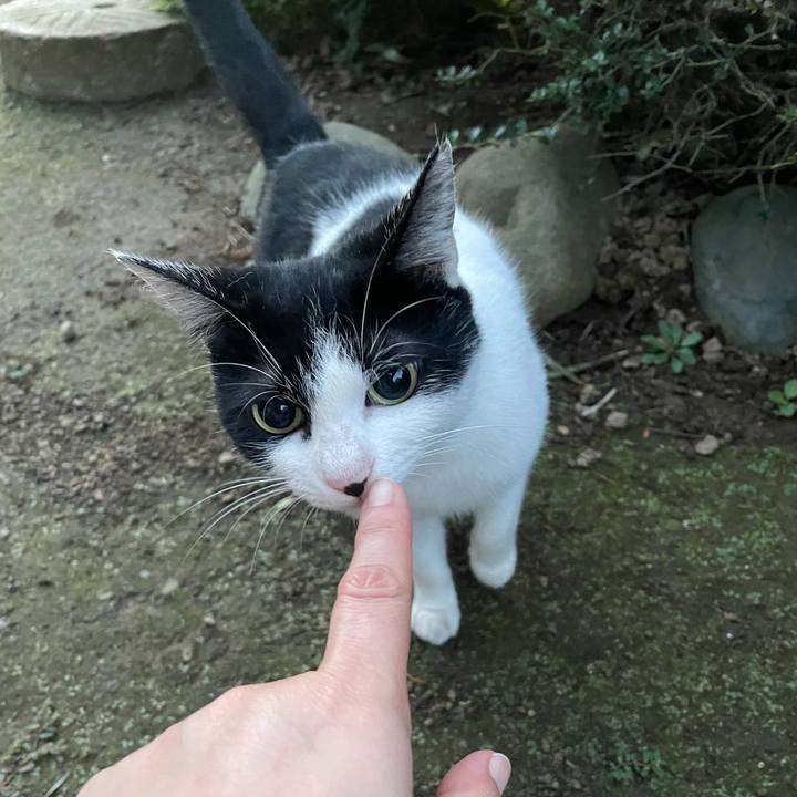 692f9c4a 537d 416a bdc7 28ed3e7fe1dd 1633466080053