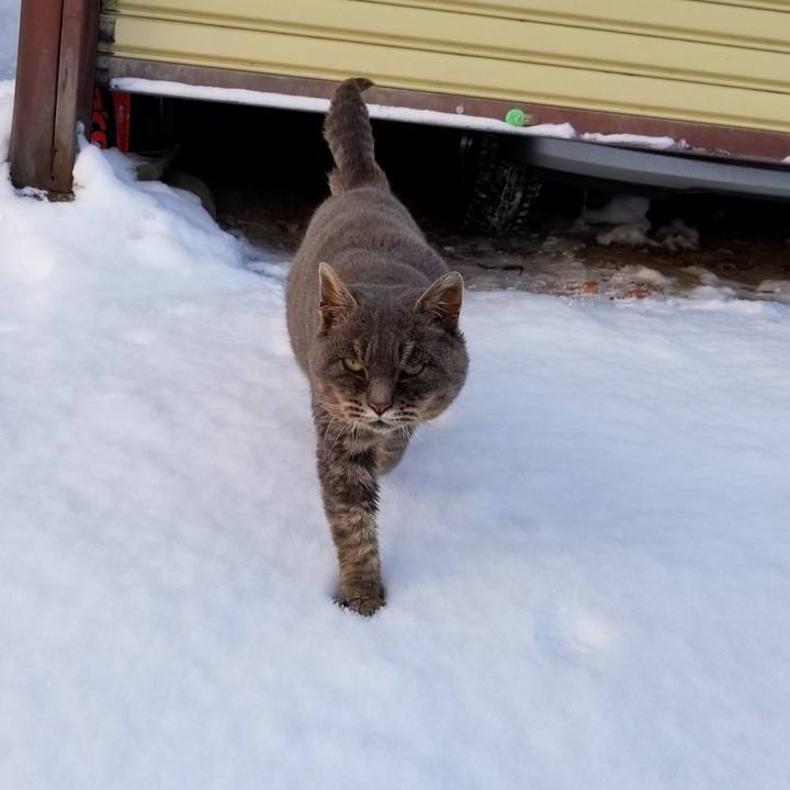 6930317e c683 4786 89d7 5fc2c2b7a642 1547040590099