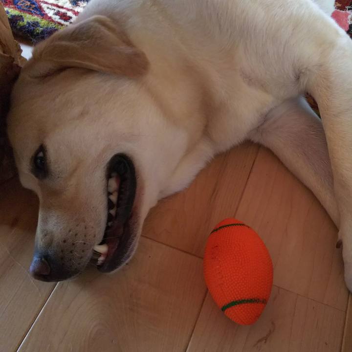 6930bfce be03 4c22 ba6b 47011352162a 1532491918218