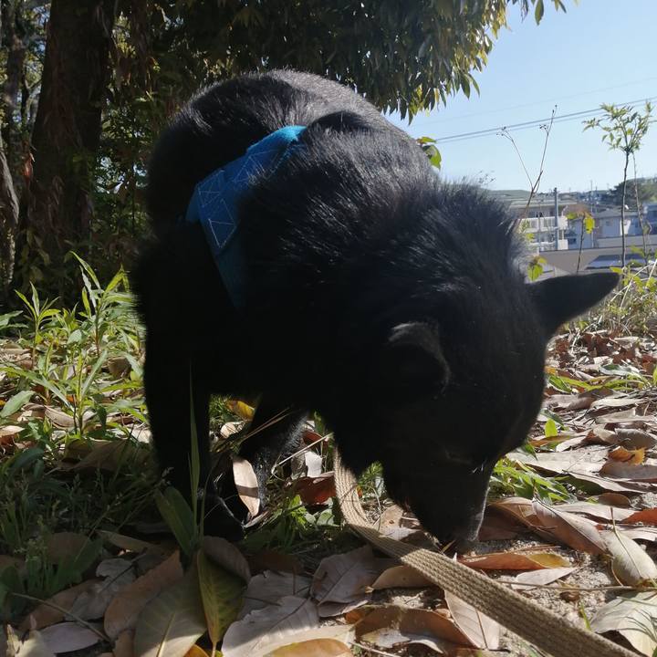 6930ff24 c54b 4d8c 816a 22907d198026 1618010344823