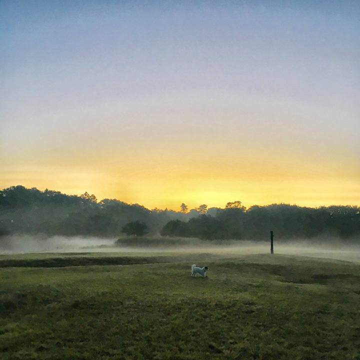 69312845 e397 44d7 8009 4c1c0c8b8189 1508968902593