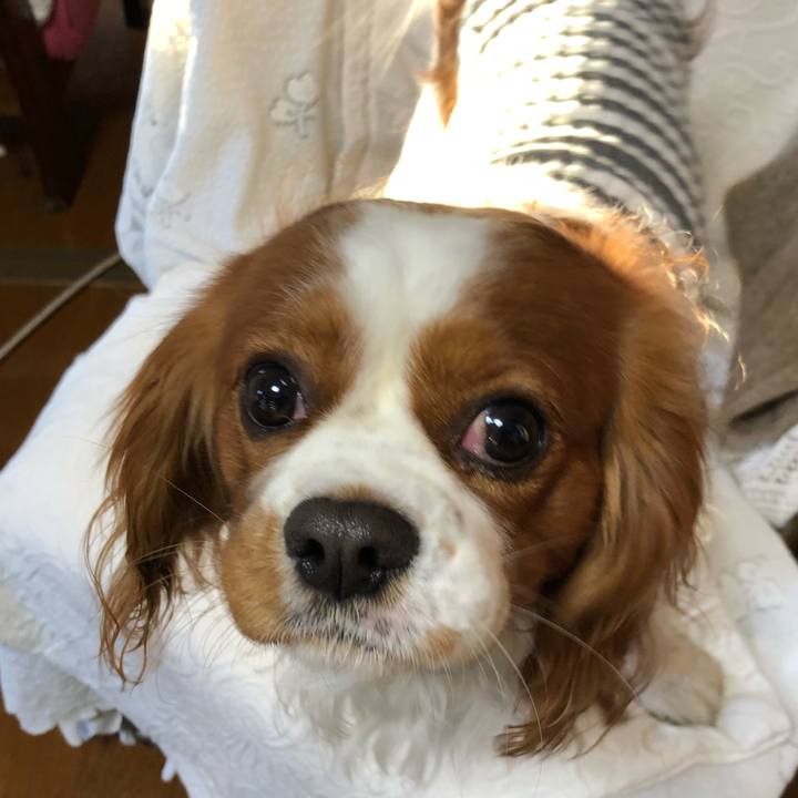 69313f94 cc52 4d7b b9ee 639b48113dfc 1609714793743