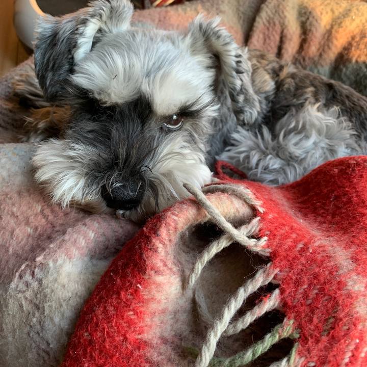 69314d75 052b 4920 945f 00830198a46b 1668753923446