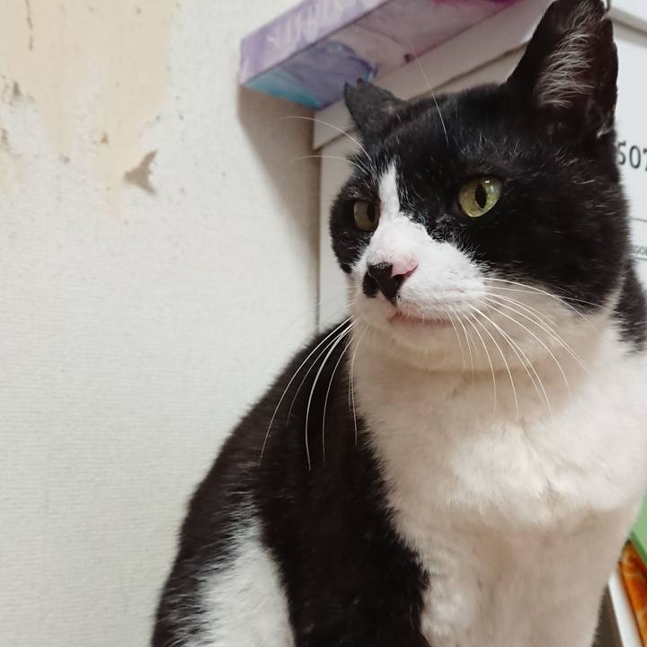 69314e1c 1919 4be7 b58b e61d53a4b176 1635041553601