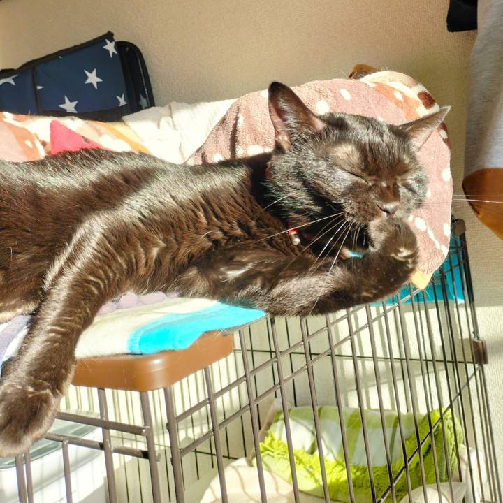 6931655a 58eb 4817 a7e1 fc1cda50f9bb 1666564393021