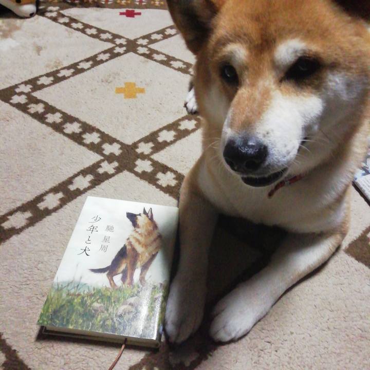 69318a48 1e64 4a75 859a d30b903a52ea 1591698278639